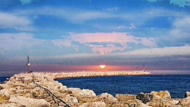 组装卸载了无数TO-DO任务管理软件，最后我只留下了这个