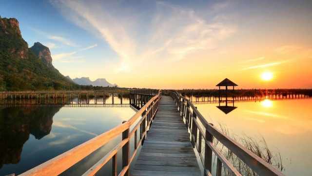 2021年中国游戏直播行业调查报告